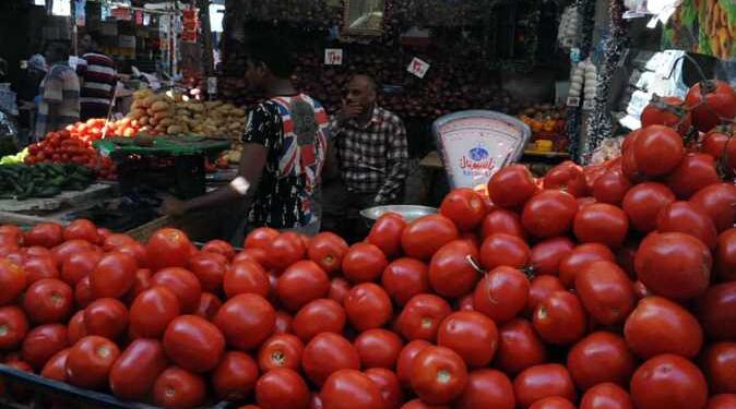 سعر الطماطم يصل إلى مستويات قياسية بالمغرب.. مهني يكشف السبب